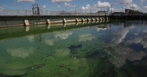 Major Sewage Spill Near LaBelle