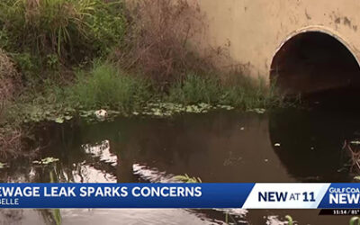 LaBelle sewage spill sparks environmental and health concerns