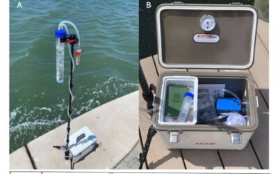 Florida bloom toxins turn up in air, suggesting inhalation risk beyond shorelines