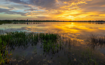 New Report Finds Majority of Florida Waterways Fail Water Quality Standards