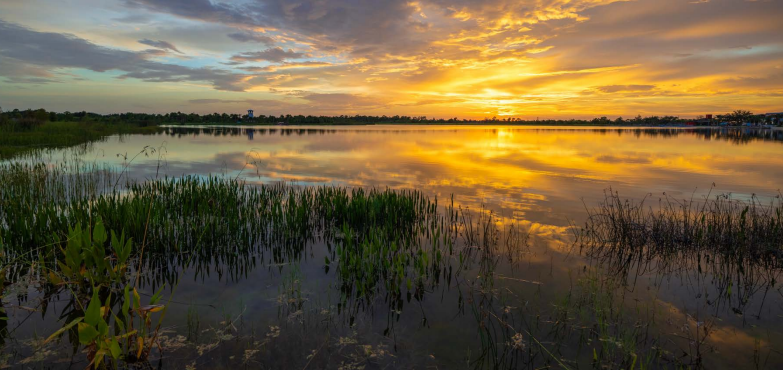 florida water