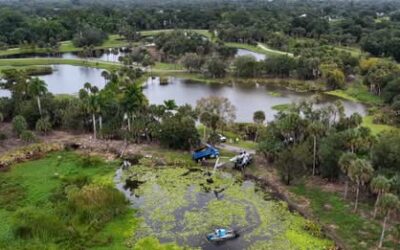 Fort Myers crews clear Billy Creek
