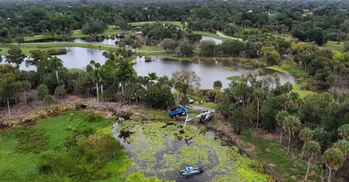 Billy Creek filter marsh