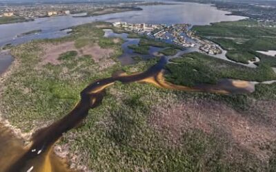 Lee County to buy over 300 acres environmentalists call critical for protection