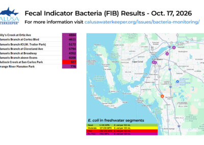 Lee County 2026-10 E. coli
